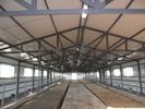 China Duurzame Geprefabriceerde Staal het Ontwerpen Koe/Paardsystemen met Flexibel Hoog Ruimtegebruik fabriek