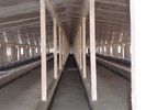 China Het Comité van de staalsandwich de Materiële Ontwerpende Systemen van het Gevogeltestaal om Kip Te kweken fabriek